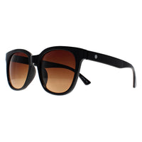 Smarty Sunglasses X2121 A Black Brown