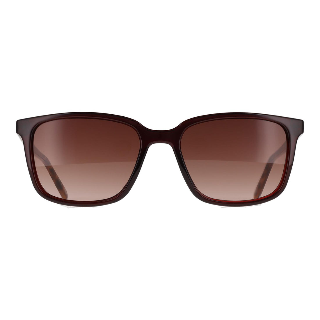 Ted Baker Sunglasses TB1529 Farley 249 Tortoise Brown Gradient