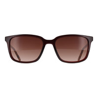 Ted Baker Sunglasses TB1529 Farley 249 Tortoise Brown Gradient