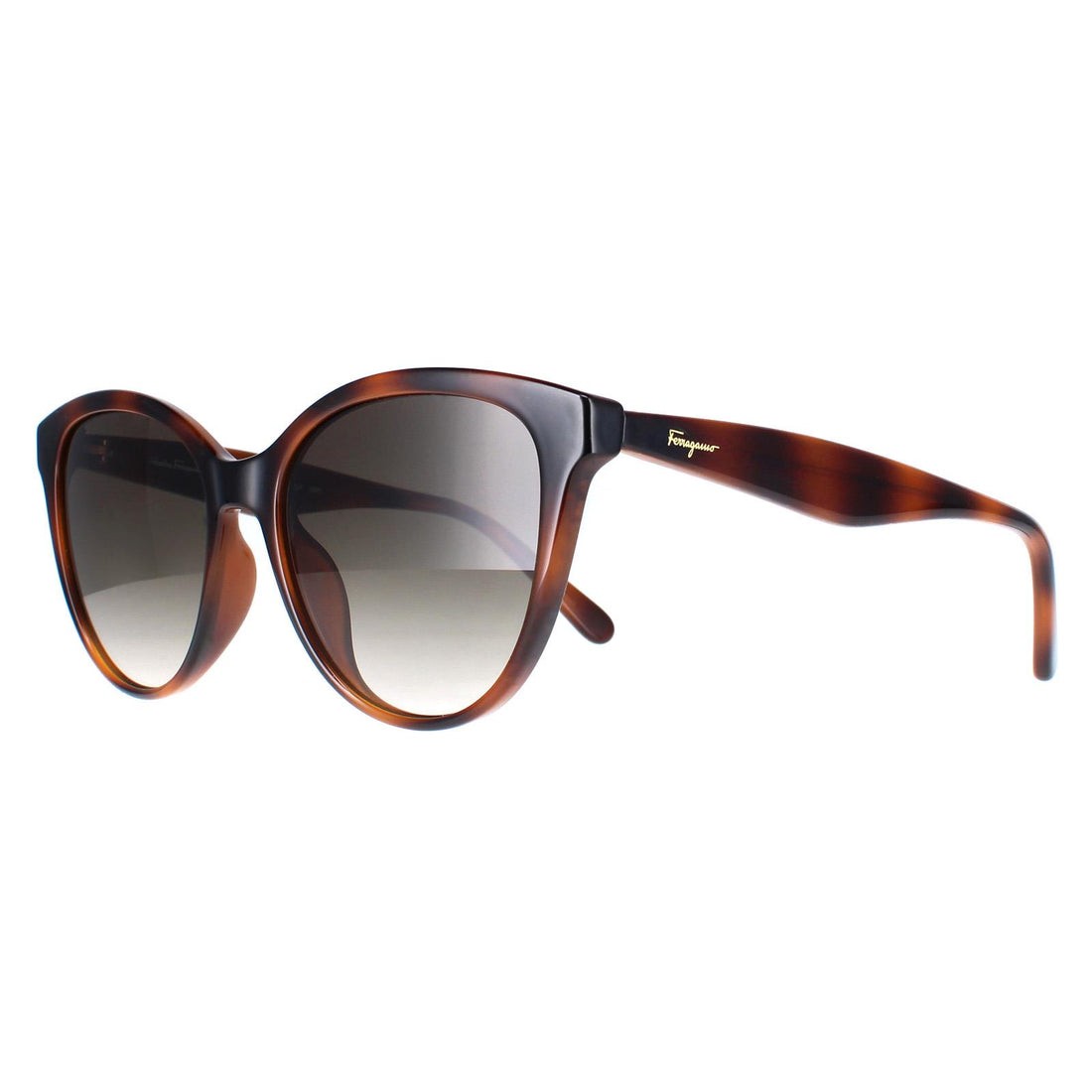 Salvatore Ferragamo SF1073S Sunglasses