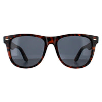 Smarty Sunglasses SB2304 B Tortoise Brown Grey