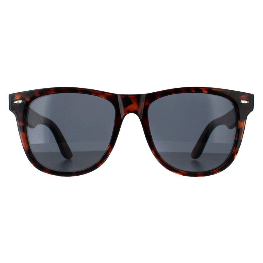 Smarty Sunglasses SB2304 B Tortoise Brown Grey