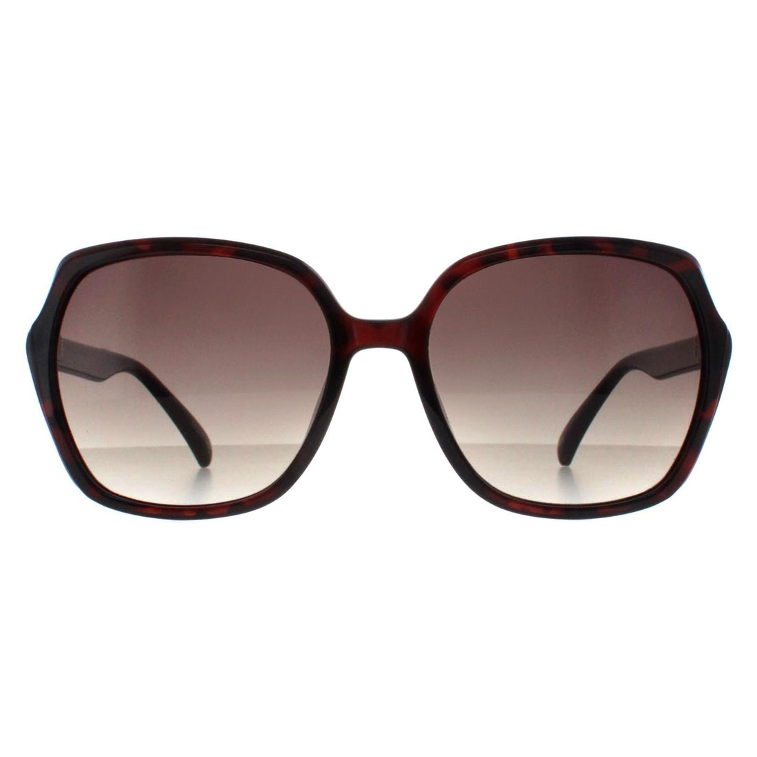 Smarty Sunglasses X2110 B Warm Demi Brown Tortoise Brown