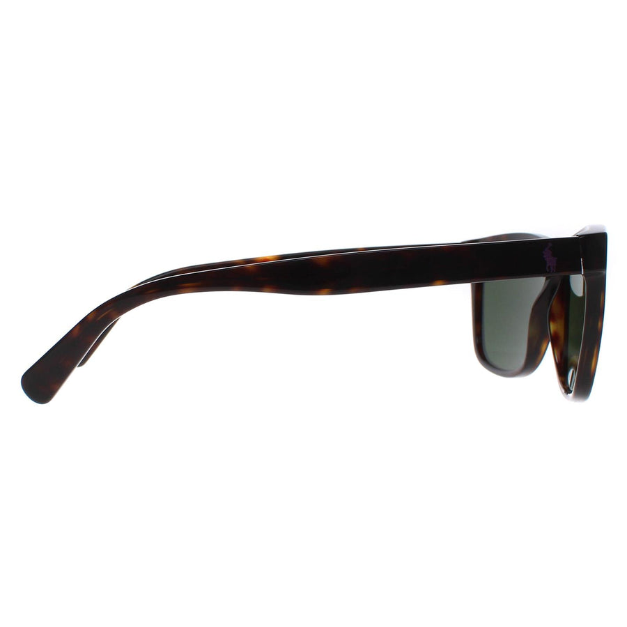 Polo Ralph Lauren Sunglasses PH4167 500371 Shiny Dark Havana Dark Green