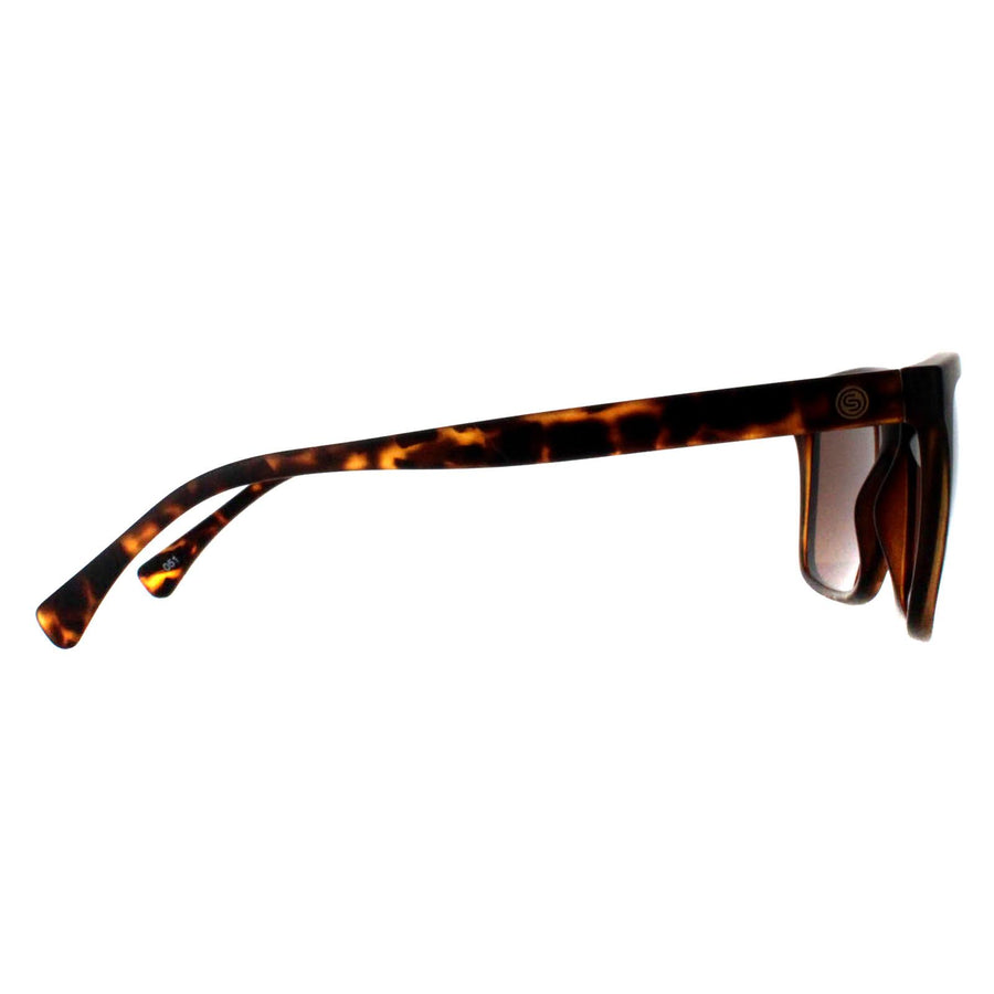 Smarty Sunglasses SB2201 B Tortoise Brown Brown