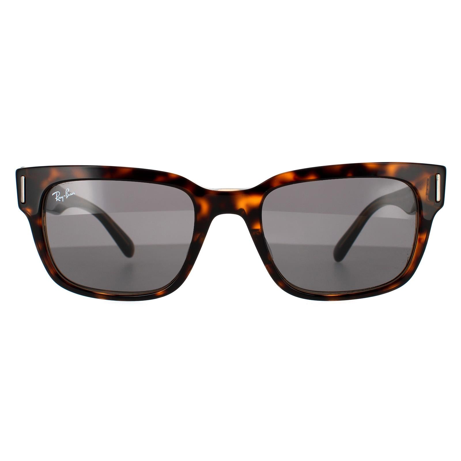 Sunglasses Jeffrey RB2190 1292B1 Havana On Transparent Brown Dark Grey