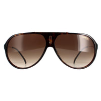 Carrera Hot 65 Sunglasses Dark Havana / Brown Gradient