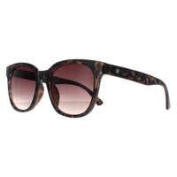 Smarty Sunglasses X2121 B Grey Demi Tortoise Grey