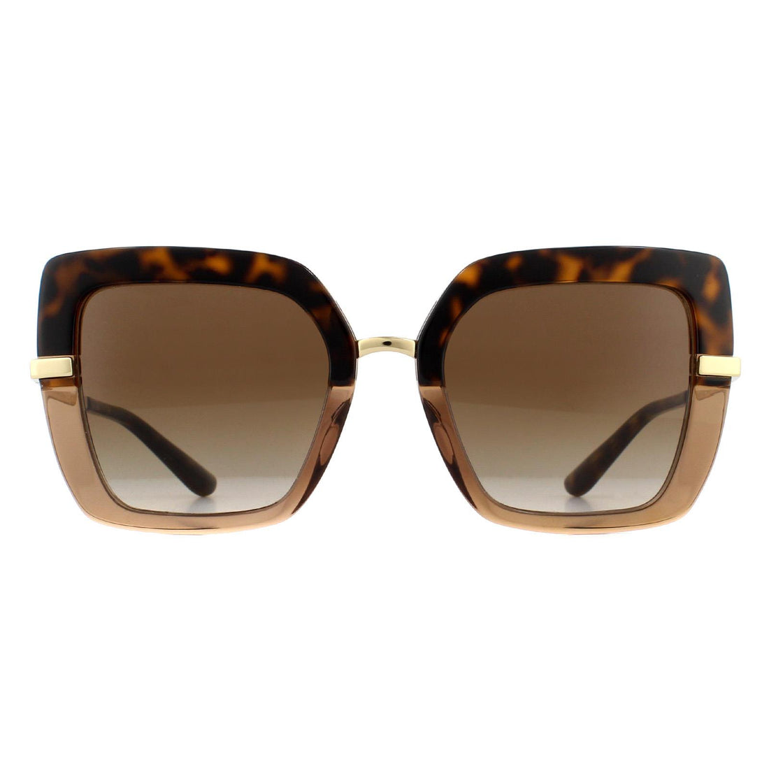 Dolce & Gabbana Sunglasses DG4373 325613 Top Havana on Transparent Brown Brown Gradient