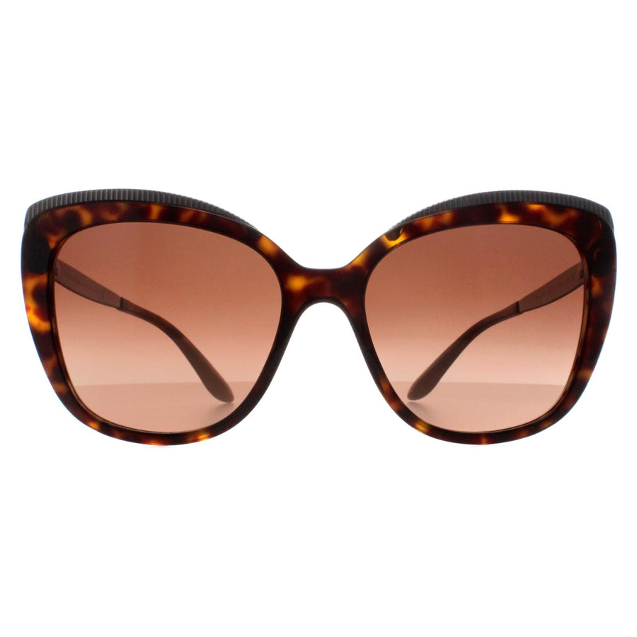Dolce & Gabbana DG4332 Sunglasses Havana / Brown Gradient