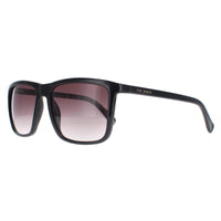 Ted Baker Sunglasses TB1663 Havna 001 Black Brown Gradient