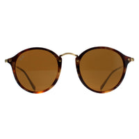 Ray-Ban Sunglasses Round Fleck 2447 1160 Tortoise & Gold Brown