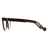 Moncler Glasses Frames ML5037 056 Havana Men