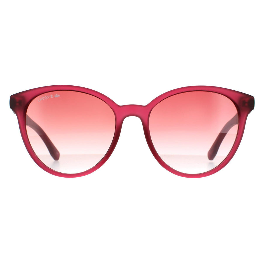 Lacoste Sunglasses L887S 526 Transparent Cyclamen Pink Gradient