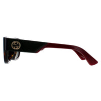 Gucci Sunglasses GG1667SK 002 Havana with Green and Red Green