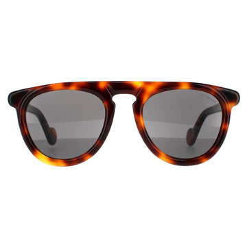 Moncler Sunglasses ML0100 52A Dark Havana Grey