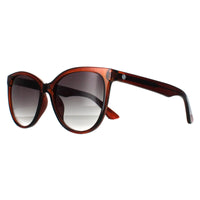 Smarty Sunglasses SB2312 B Transparent Brown Grey
