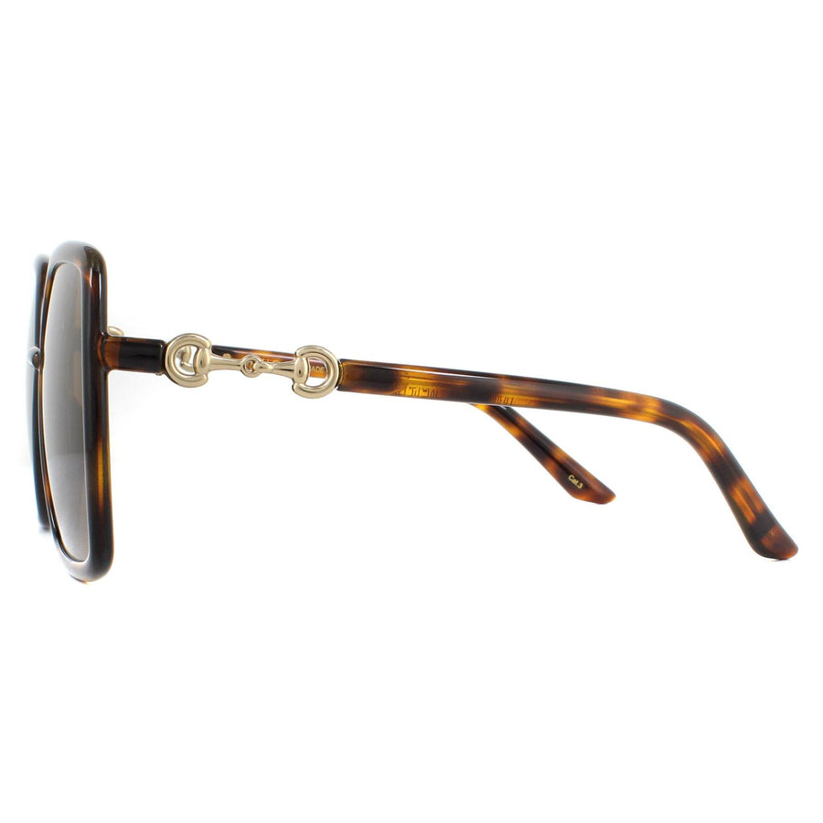 Gucci Sunglasses GG0890S 002 Havana and Gold Brown