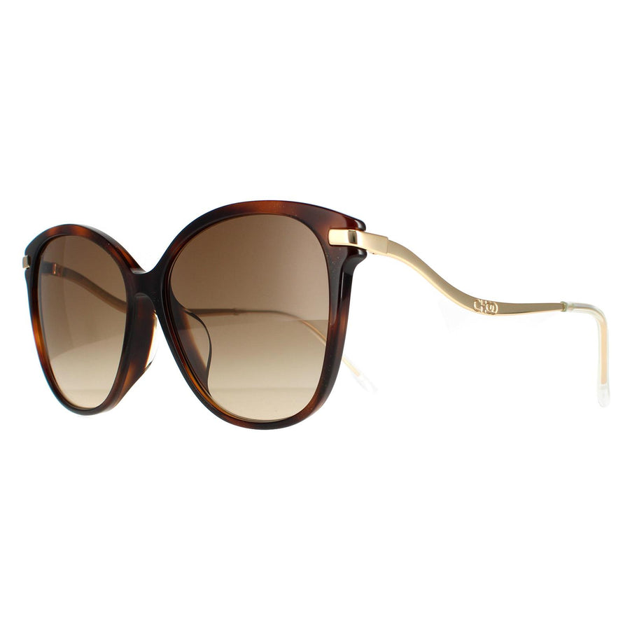 Jimmy Choo Sunglasses Peg/F/S O2V HA Glitter Havana Brown Gradient