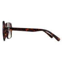 Smarty Sunglasses X2110 D Tortoise Brown Grey