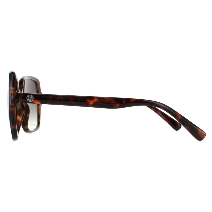Smarty Sunglasses X2110 D Tortoise Brown Grey