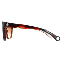 Moncler Sunglasses ML0087 53G Dark Tortoise Havana Brown