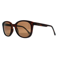 Serengeti Sunglasses Mara 8770 Matte Tortoise Polarized Drivers Gold