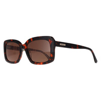 Barbour Sunglasses BA8121 C3 Tortoise Brown