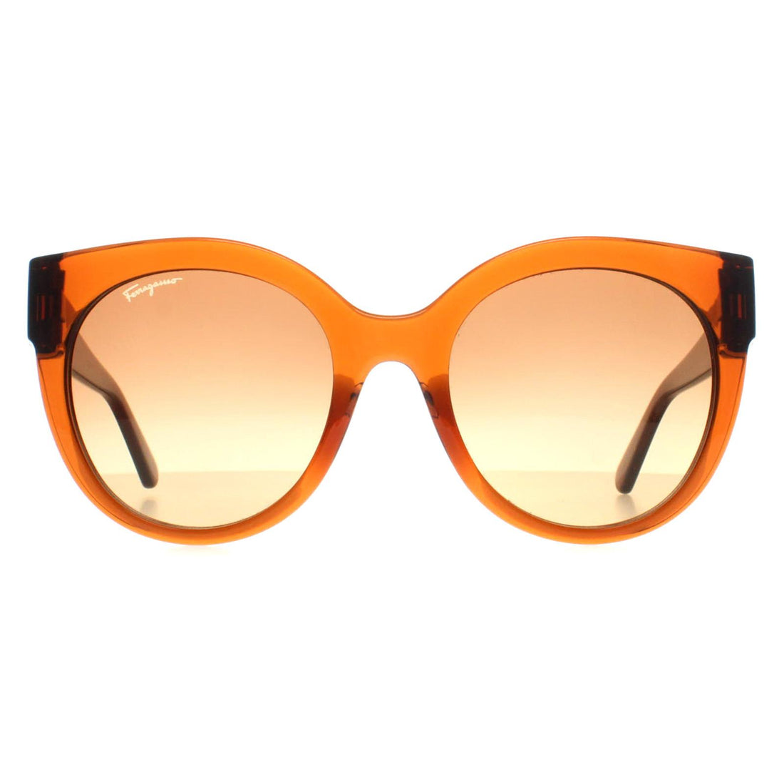 Salvatore Ferragamo Sunglasses SF1031S 261 Crystal Caramel Brown Gradient