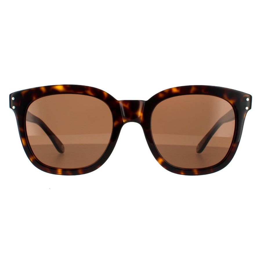 Gucci Sunglasses GG0571S 002 Dark Havana Brown