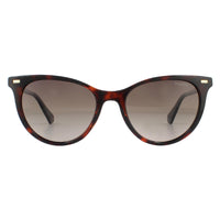 Polaroid PLD 4107/S Sunglasses Havana / Brown Gradient Polarized