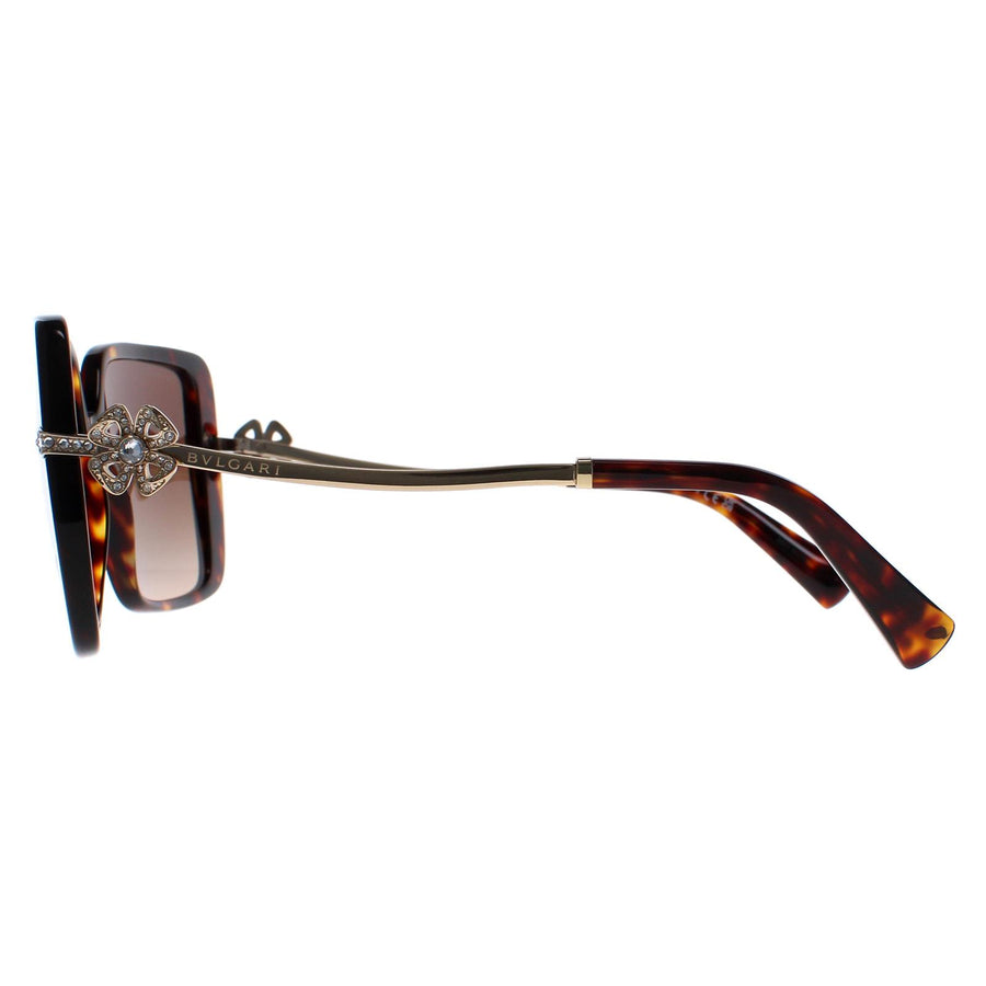 Bvlgari Sunglasses BV8243B 504/13 Havana Brown Gradient