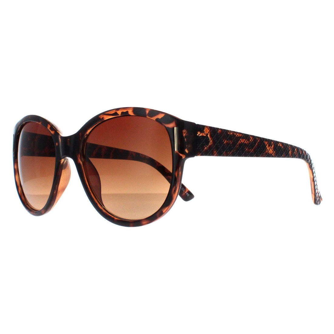 Smarty Sunglasses X2120 B Demi Tortoise Brown Brown