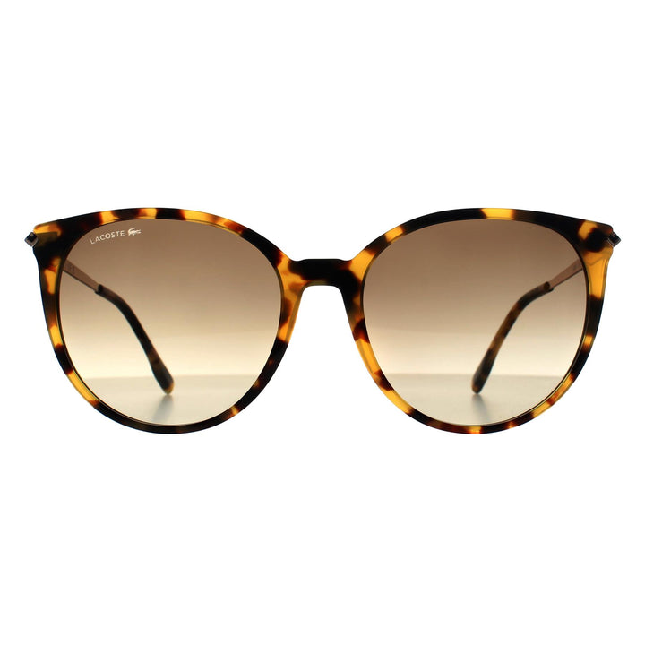 Lacoste Sunglasses L928S 214 Havana Grey Gradient
