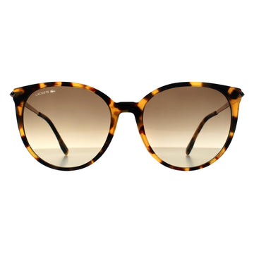 Lacoste Sunglasses L928S 214 Havana Grey Gradient