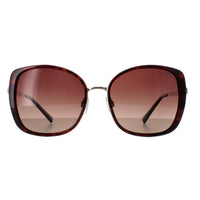 INVU Sunglasses B1907 G Demi Gold Tortoise Brown Brown Polarized