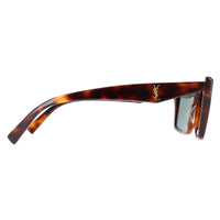 Saint Laurent Sunglasses SL M104 003 Havana Green