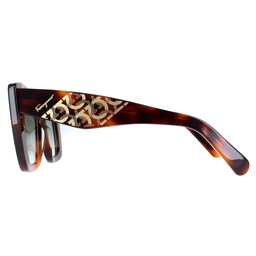 Salvatore Ferragamo Sunglasses SF1023S 214 Tortoise Grey Gradient