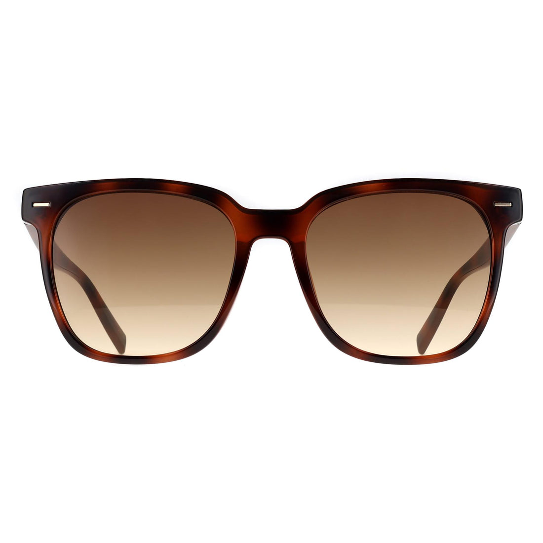 Calvin Klein Sunglasses CK20519SN 235 Havana Brown Gradient