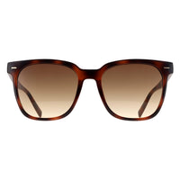 Calvin Klein Sunglasses CK20519SN 235 Havana Brown Gradient