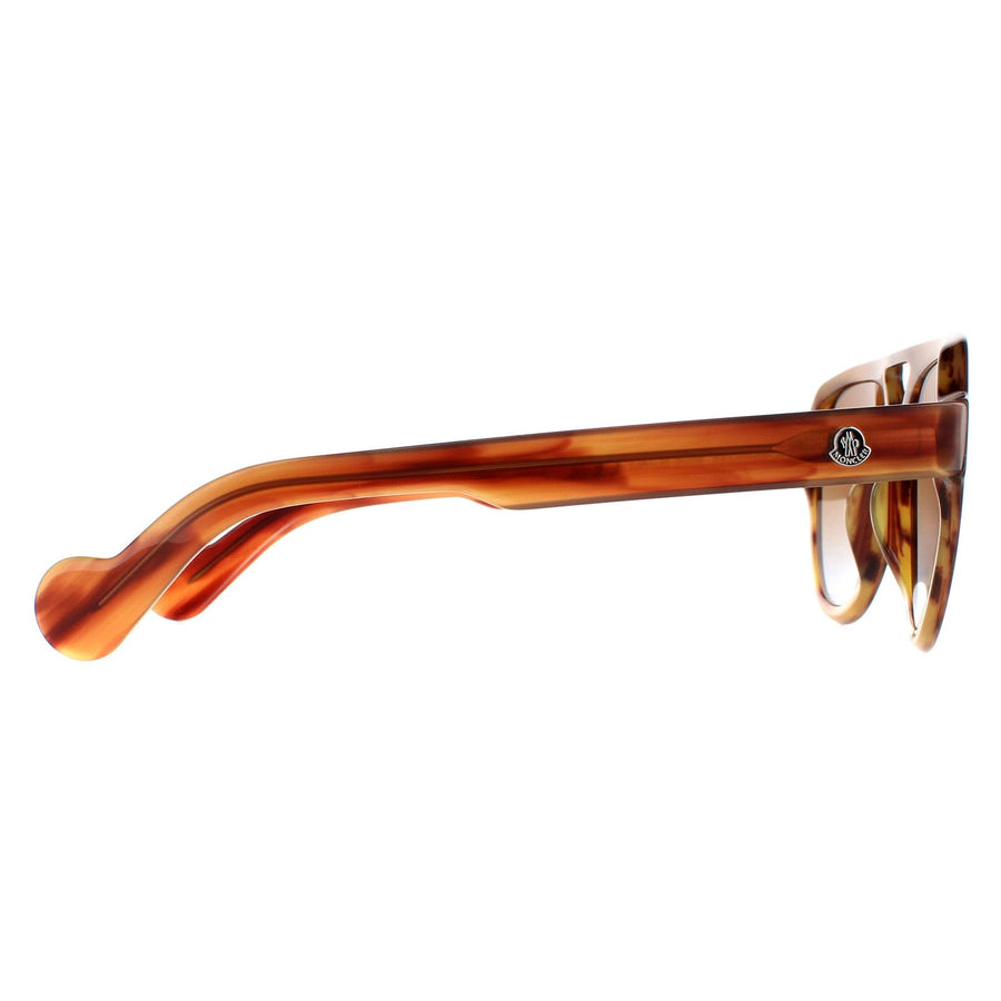 Moncler Sunglasses ML0094 54E Havana Brown Brown
