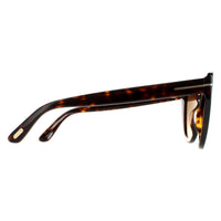 Tom Ford Sunglasses Izzi FT0845 52F Dark Havana Brown Gradient