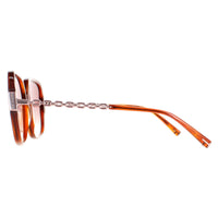 Ted Baker Sunglasses TB1616 Indi 307 Tortoise Brown Brown Gradient