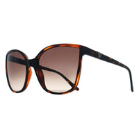 Guess Sunglasses GU00144 52F Dark Havana Brown Gradient