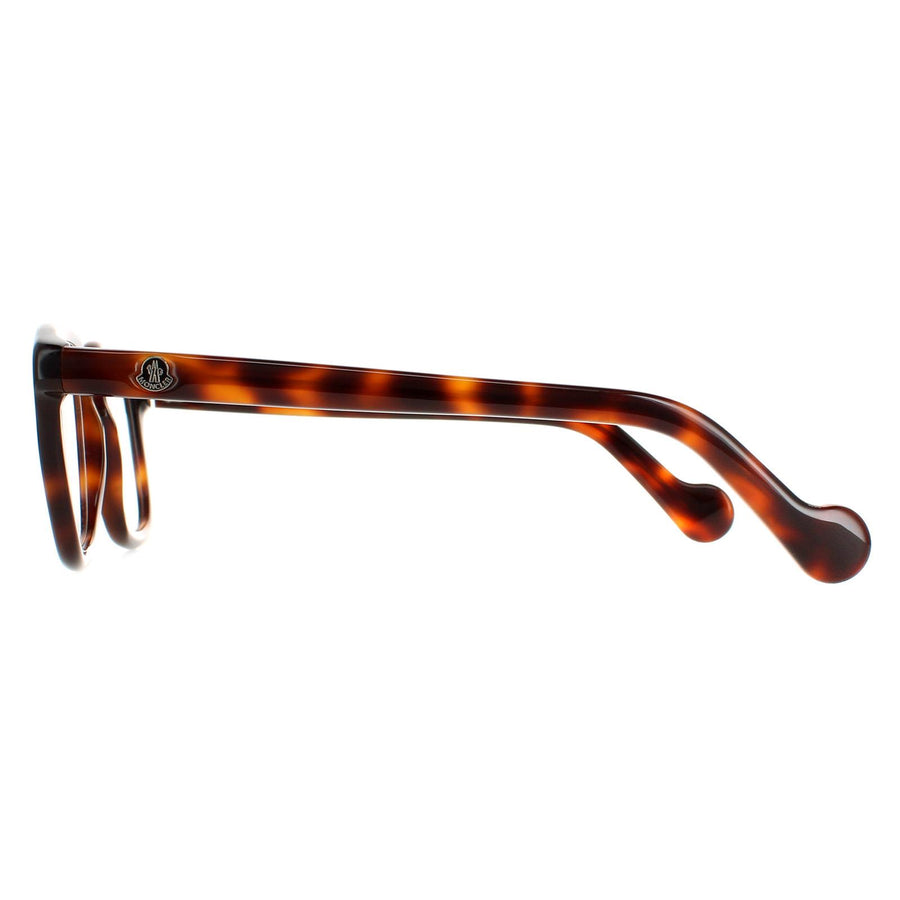 Moncler Glasses Frames ML5042 052 Havana Men