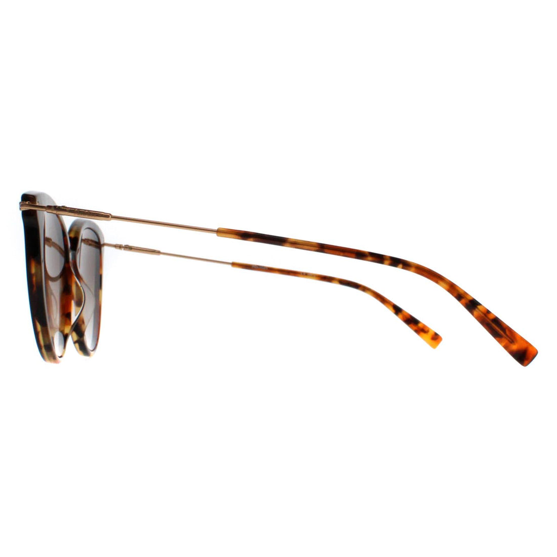 Max Mara Sunglasses Classy WR9 HA Havana Brown Gradient
