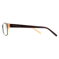 Tommy Hilfiger Glasses Frames TH 1018 GYB Peach Brown