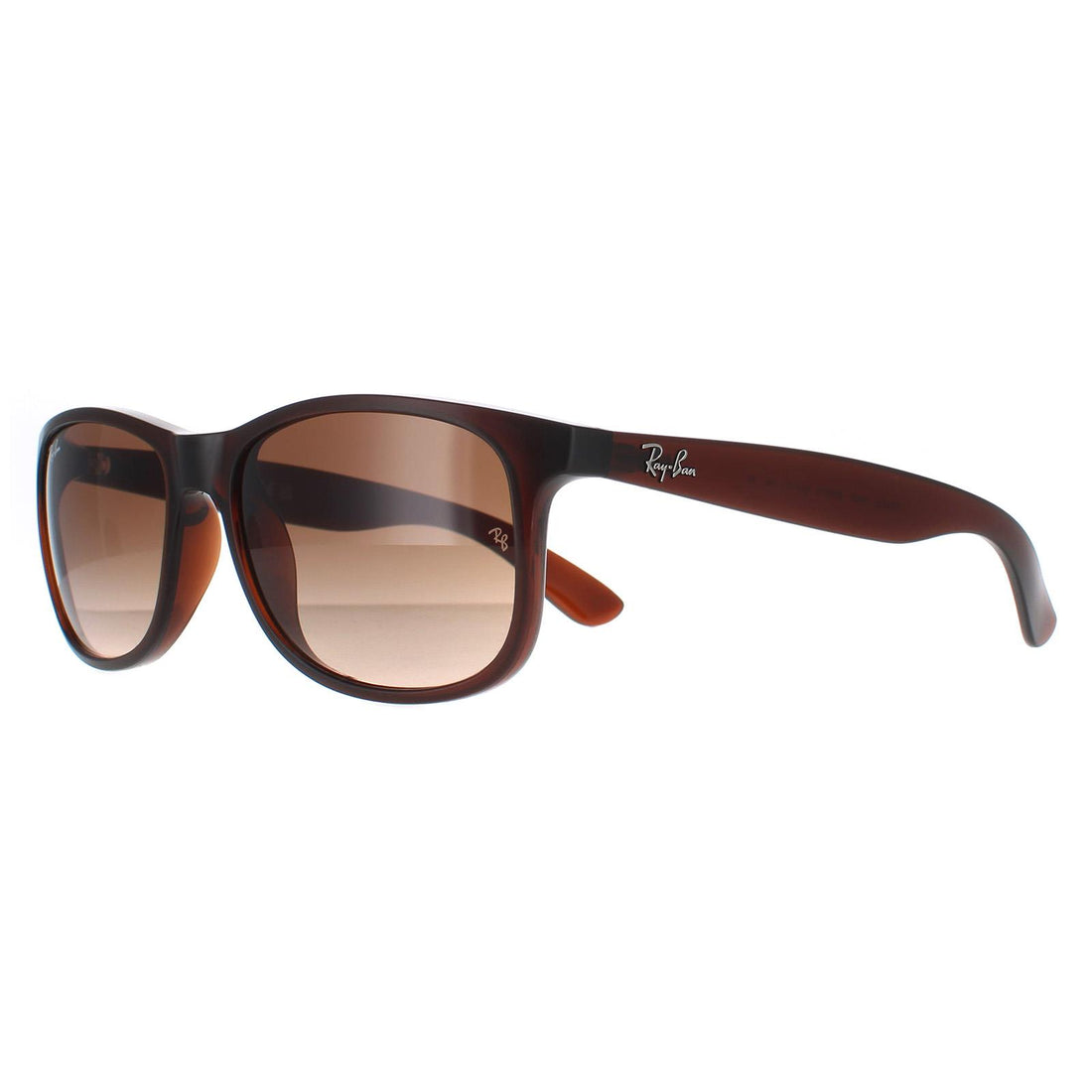 Ray-Ban Sunglasses Andy 4202 607313 Matt Brown Brown Gradient