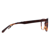Ted Baker Glasses Frames TB8241 Rush 106 Brown Men