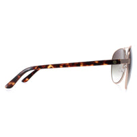 Smarty Sunglasses X1121 B Matte Gold Demi Tortoise Brown Brown